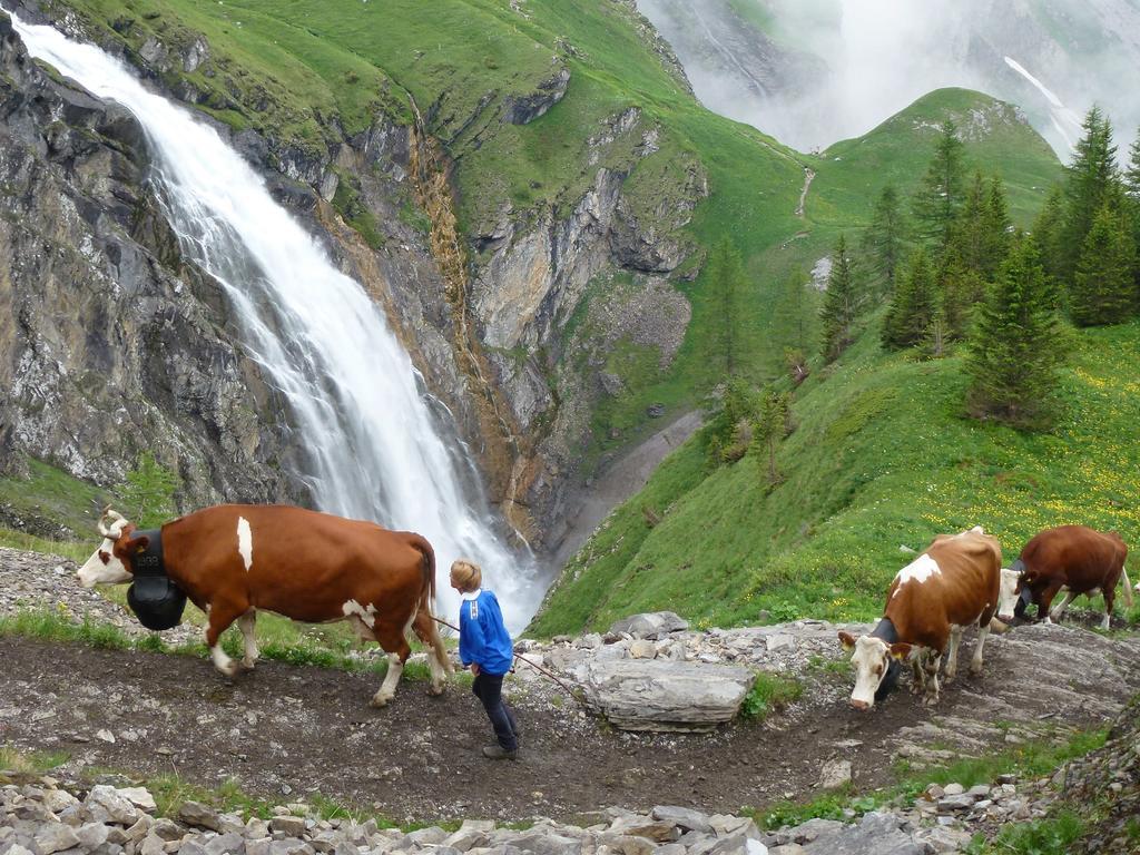 Hotel Hari Im Schlegeli Adelboden Bagian luar foto