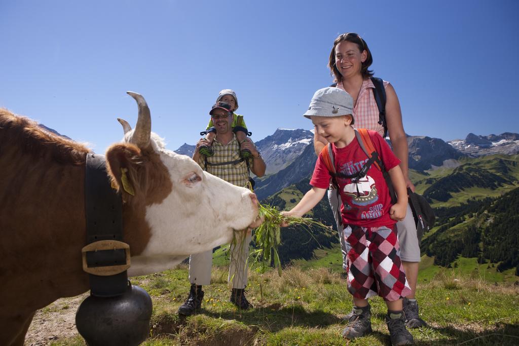 Hotel Hari Im Schlegeli Adelboden Bagian luar foto