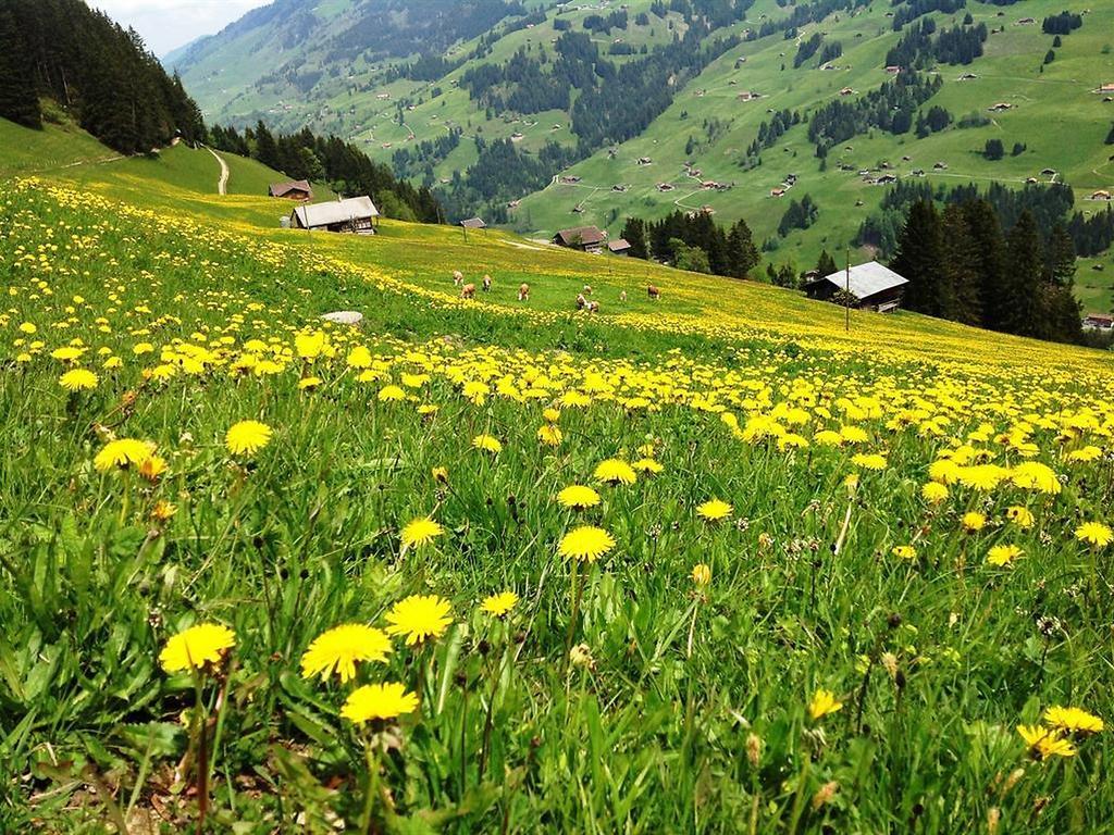 Hotel Hari Im Schlegeli Adelboden Bagian luar foto