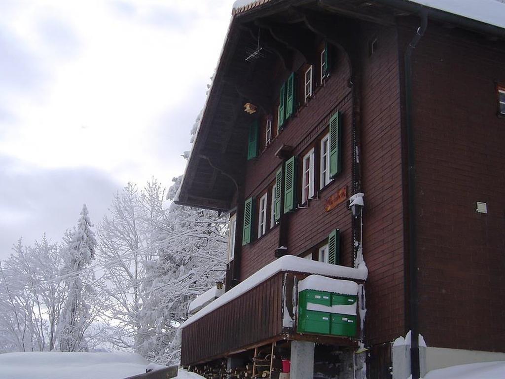 Hotel Hari Im Schlegeli Adelboden Bagian luar foto