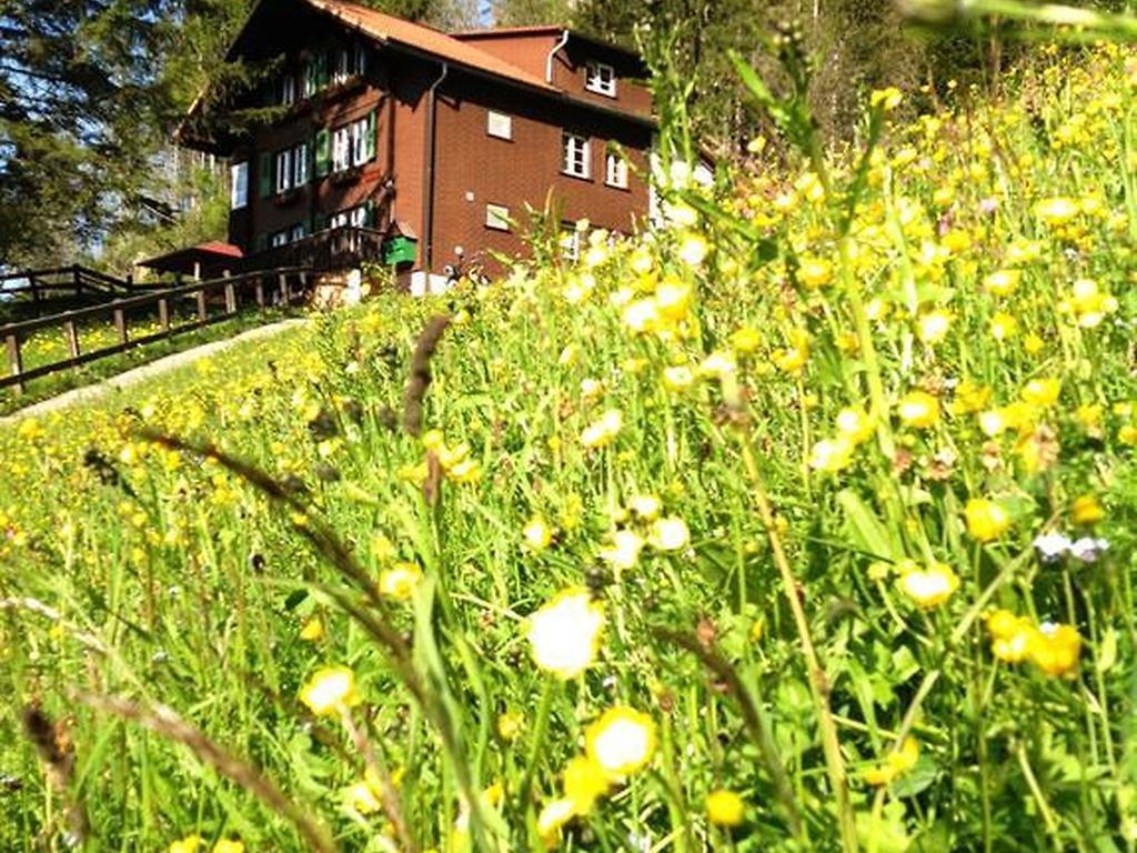 Hotel Hari Im Schlegeli Adelboden Bagian luar foto